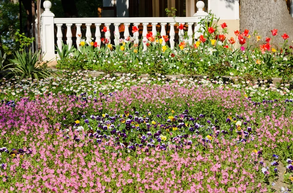 Cama de flores con terraza — Foto de Stock