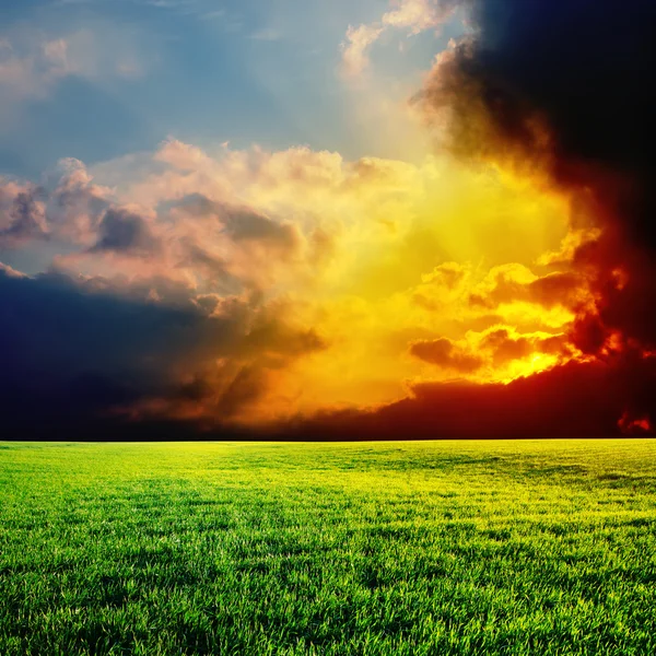 Драматичний захід сонця над зеленим полем — стокове фото