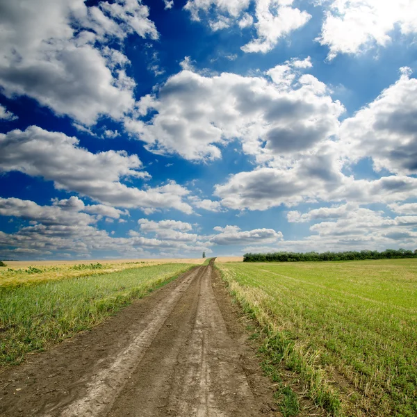 Dramatik gökyüzü altında kırsal yolu — Stok fotoğraf