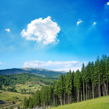 güzel yeşil dağ manzarası ile Karpatlar ağaçlarda