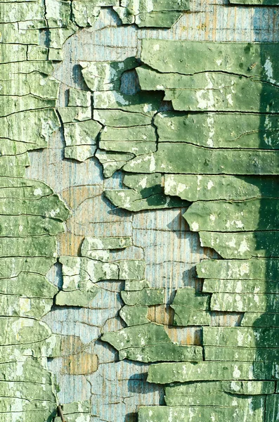 Textura de pintura verde viejo agrietado primer plano —  Fotos de Stock