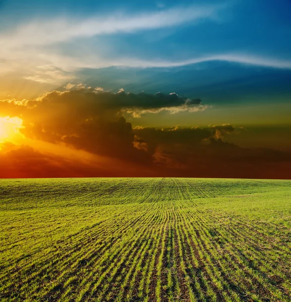 Sunset over field — Stock Photo, Image