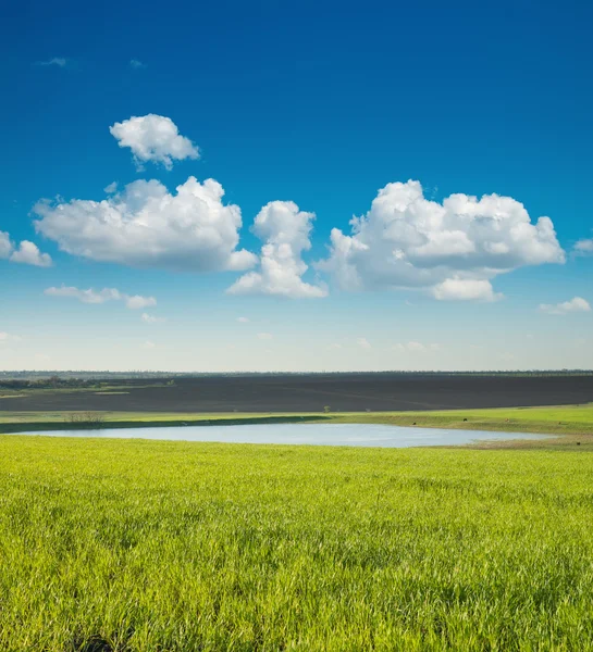Lagoa e campo verde — Fotografia de Stock