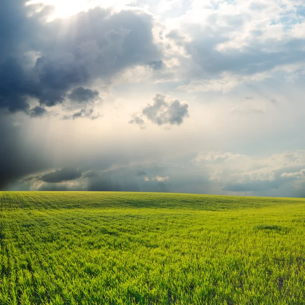 Dramatic sky over field — Stock Photo, Image