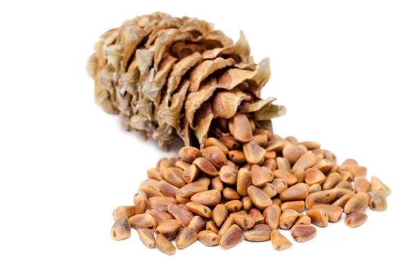 Kottar och nötter av siberian cedar tall — Stockfoto