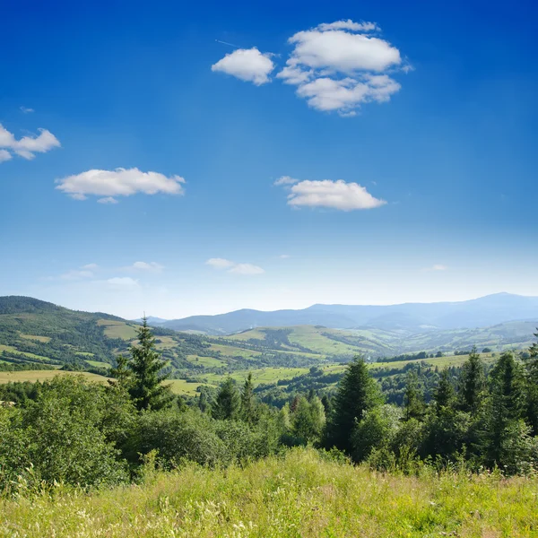 Güzel yeşil dağ manzarası ile Karpatlar ağaçlarda — Stok fotoğraf