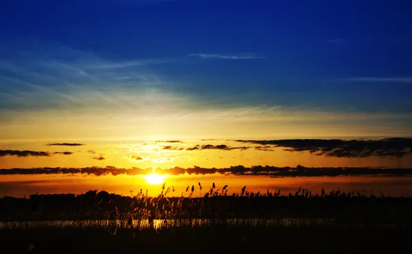 Zachód słońca nad rzeką z laski — Zdjęcie stockowe