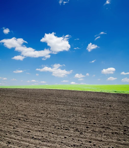 Svart plogad fältet och mulen himmel — Stockfoto