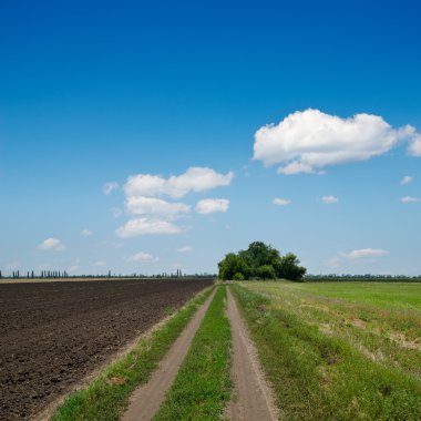 kırsal road horizon bulutlu gökyüzü altında