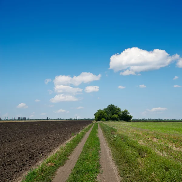 Estrada rural para horizonte sob céu nublado — Fotografia de Stock