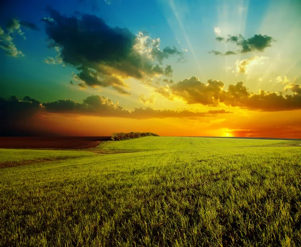 Západ slunce s dramatickou oblohu nad zemědělské zelené louce — Stock fotografie