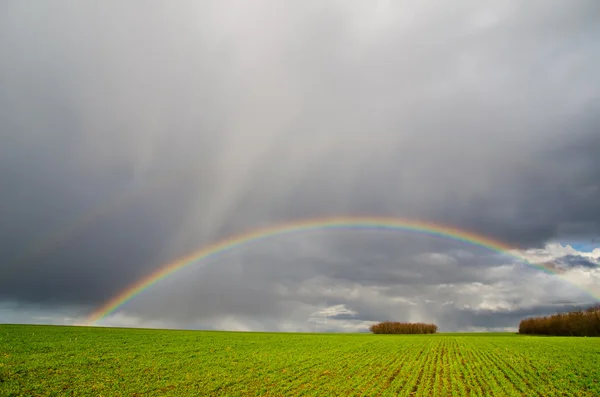 stock image Natural rainbow over green field