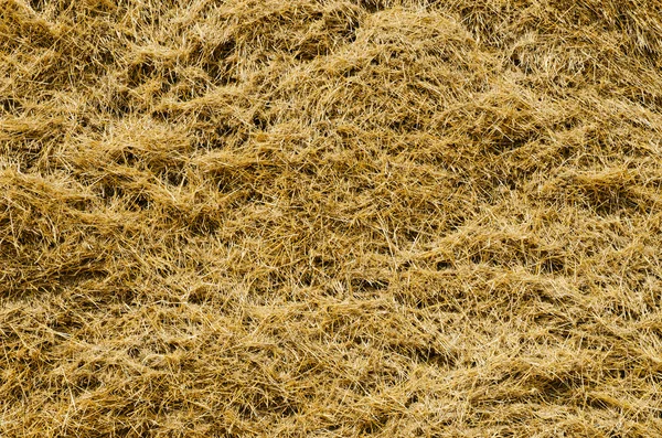 View to straw closeup as background — Stock Photo, Image