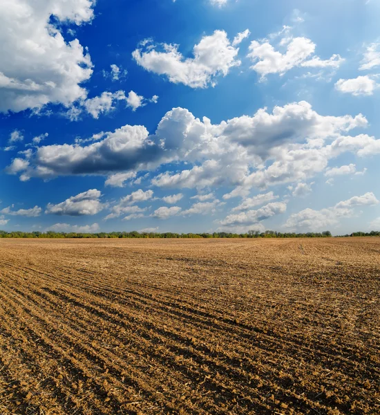 Campo arado preto sob céu azul profundo com nuvens — Fotografia de Stock