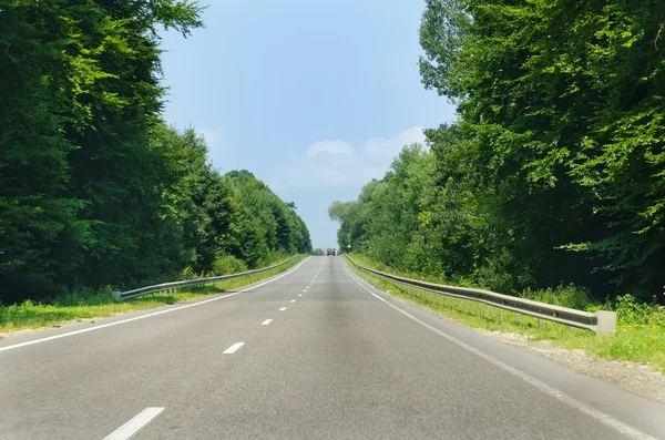 stock image Road in wood