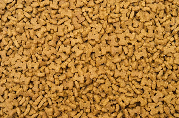 stock image Dry cat food