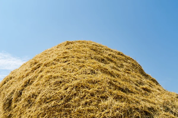 Haystack of straw heap under cloudy sky — Stock Photo, Image