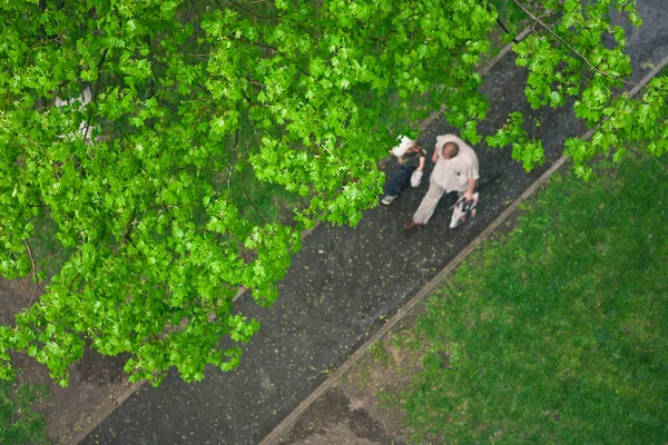 stock image Spring rain