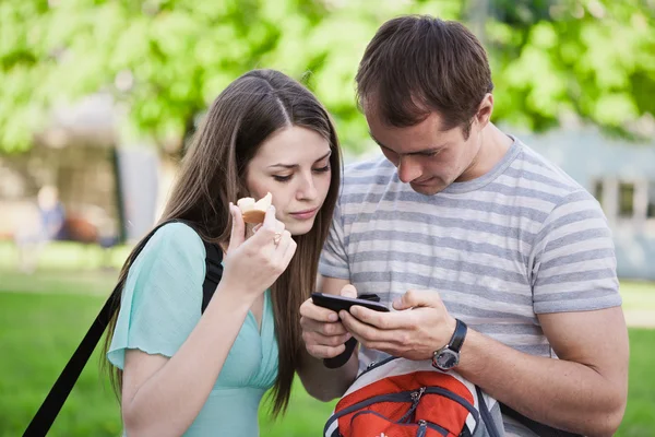 stock image Browsing web using phone