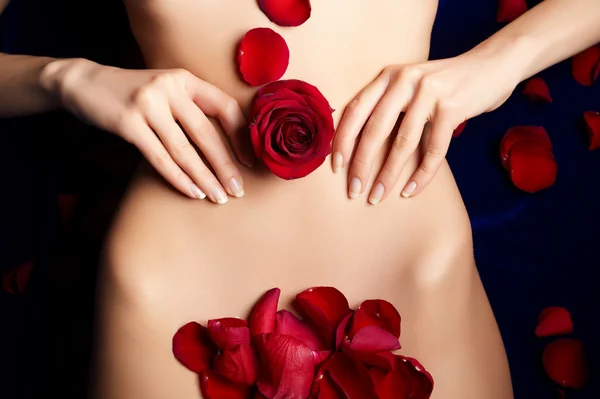 Female's belly with red rosebud and petals — Stock Photo, Image