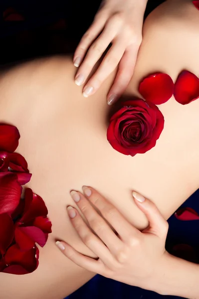 Female's belly with red rosebud and petals — Stock Photo, Image