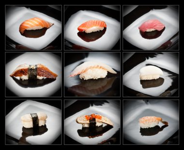 Set of 9 different nigirizushi (sushi) clipart