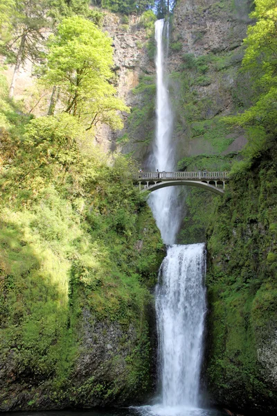 Multnomah Falls em Oregon — Fotografia de Stock