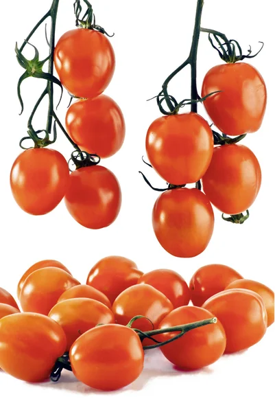 La guinda - la uva de tomate —  Fotos de Stock