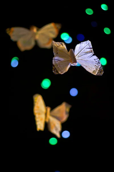 stock image Butterflies from dreams