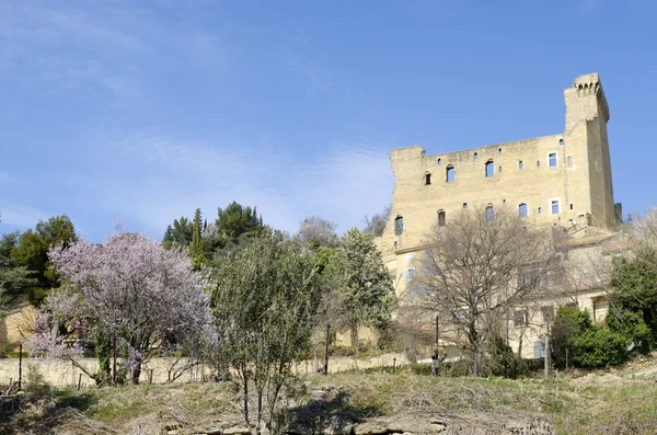 Castelo arruinado de Chateauneuf du Pape em Provence, França Imagens De Bancos De Imagens Sem Royalties