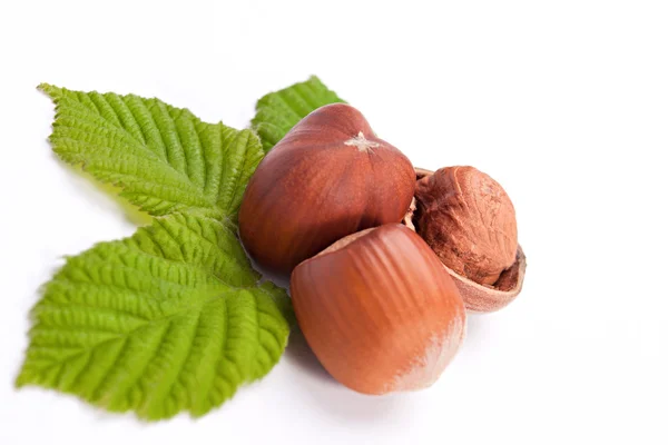 stock image Hazelnuts. isolated on a white background