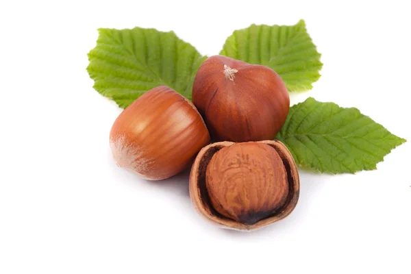 stock image Hazelnuts. isolated on a white background