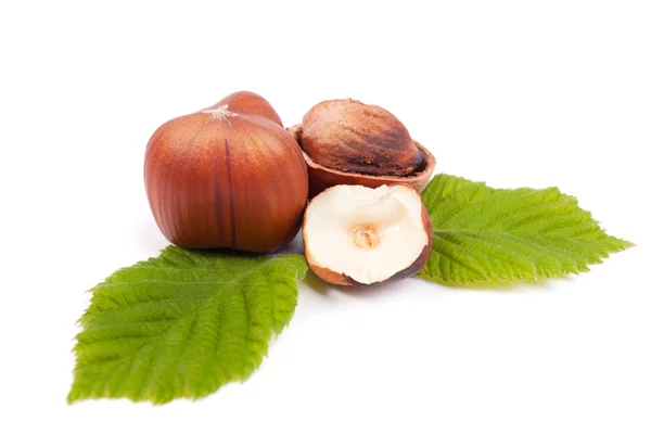 stock image Hazelnuts. isolated on a white background