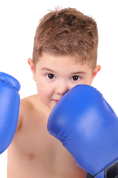 Boy with boxing gloves on white background — Stock Photo, Image