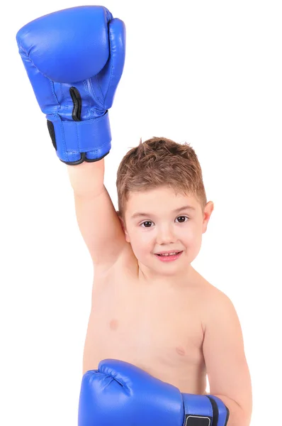 Boy with boxing gloves on white background Royalty Free Stock Images