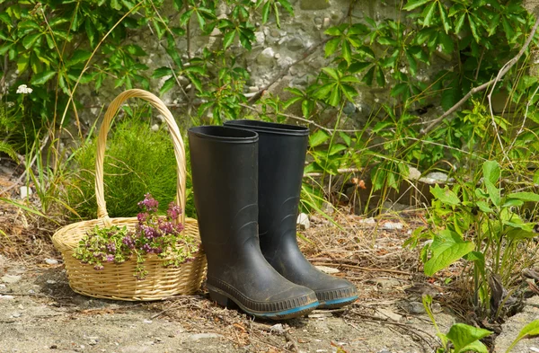 Gardener's boots and basket of herbs. — Stock Photo, Image