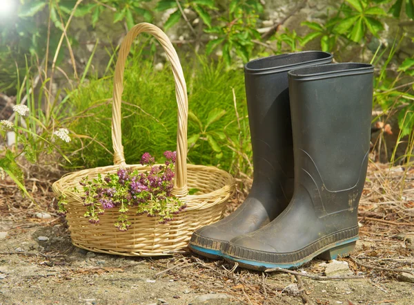 Gardener's boots and basket of herbs. — Stock Photo, Image