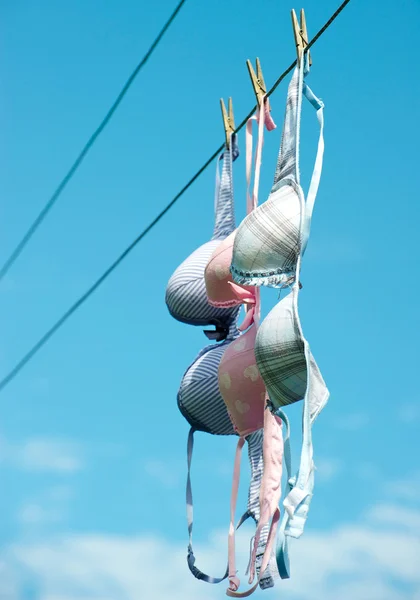 Pretty bras drying on line. Stock Image