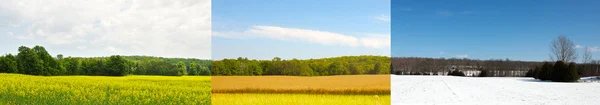 Ширина поля в три сезона . — стоковое фото