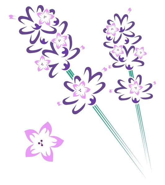 Levendula szár & virágok Stock Illusztrációk