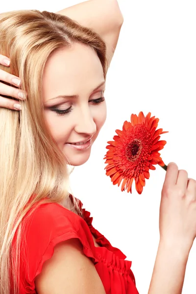 Young lady with red gerbera — Stock Photo, Image