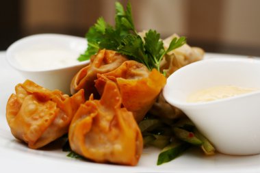 buğulama ve derin yağda kızartılmış duckleg wontons