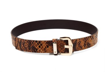 Snake leather belt clipart