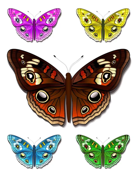 Разноцветные бабочки — стоковый вектор