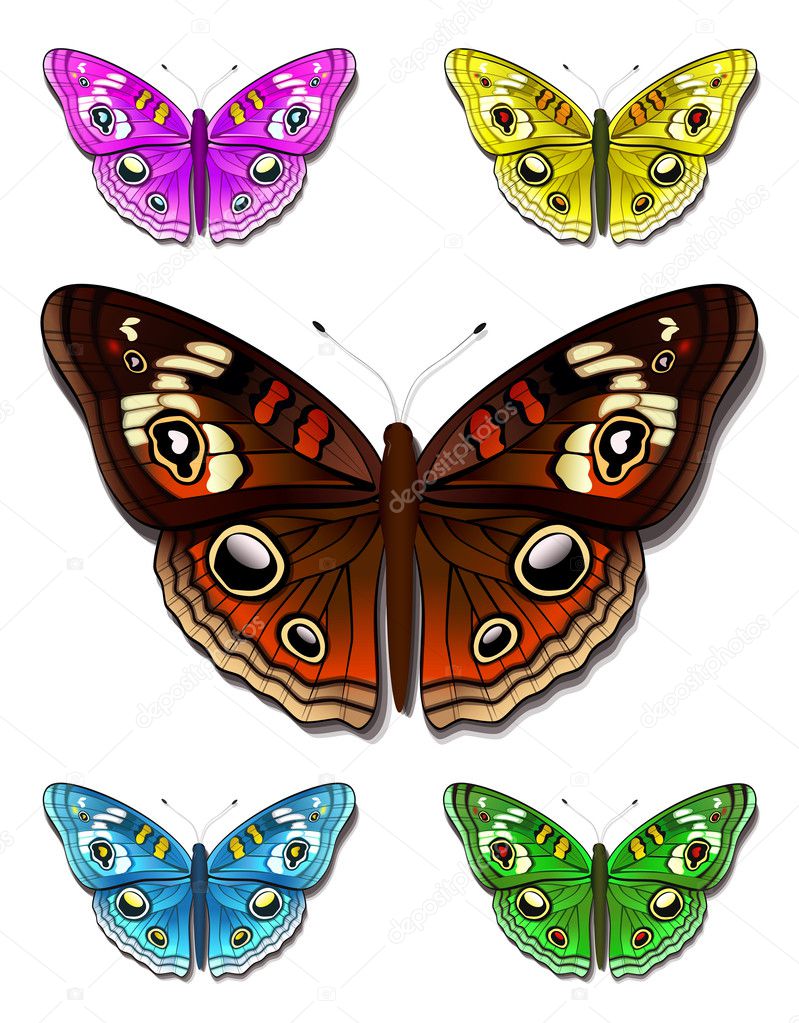 Multicolored butterflies