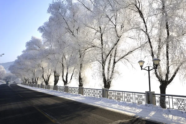 北方的冬天路 — 图库照片