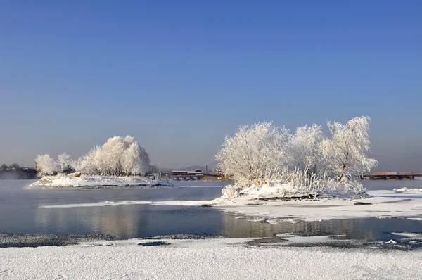 Северный зимний пейзаж — стоковое фото