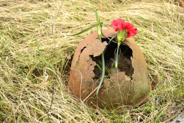 Rusty soviet army Helmet with flower clipart