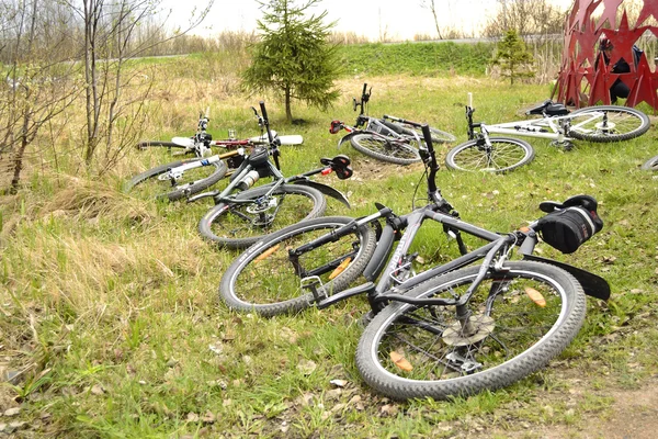 stock image Bicycles on grass