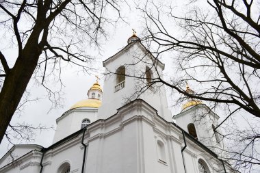 The Orthodox Church in Polotsk clipart